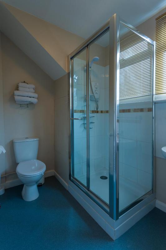 The Rosscourt Hotel - image 20