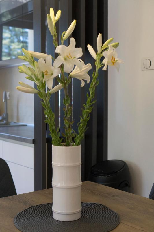 APARTMAN AURORA - image 16