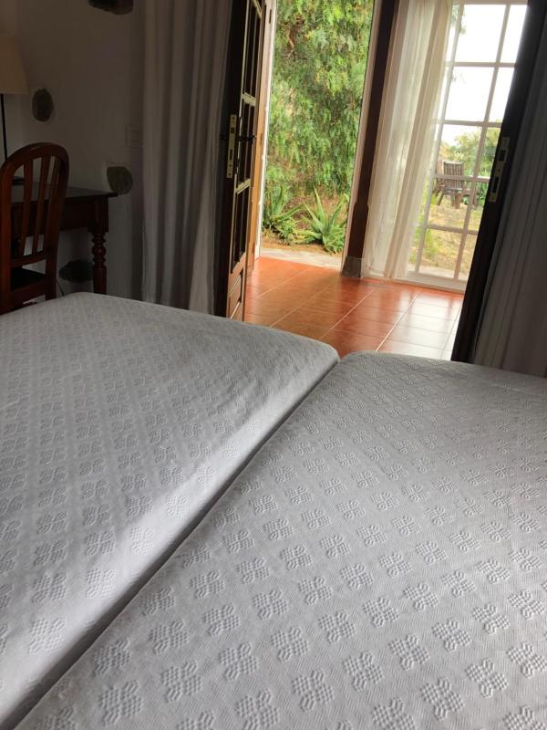 Double or Twin Room image 4