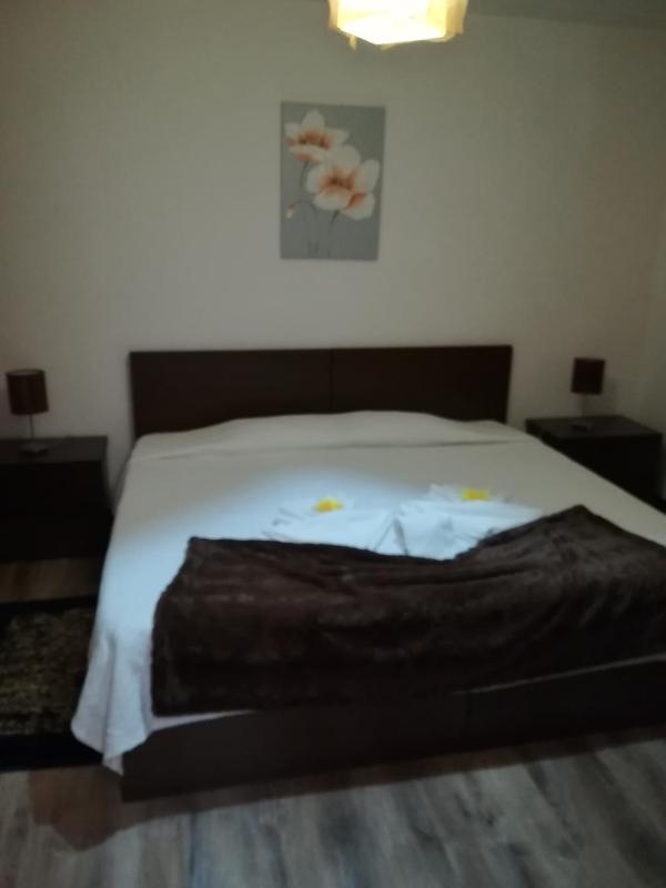 Superior Double or Twin Room with Mountain View image 1