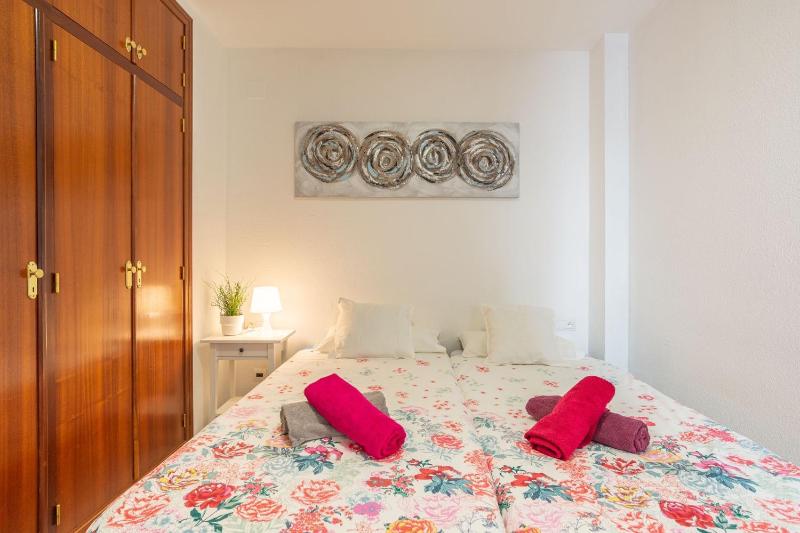 MALAGA PICASSO CENTRO HISTORICO PARKING GRATIS sr1 - image 15