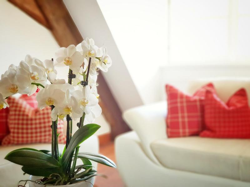 Suite image 3