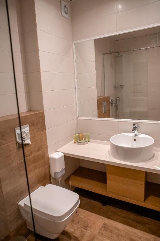 One-Bedroom Apartment image 4