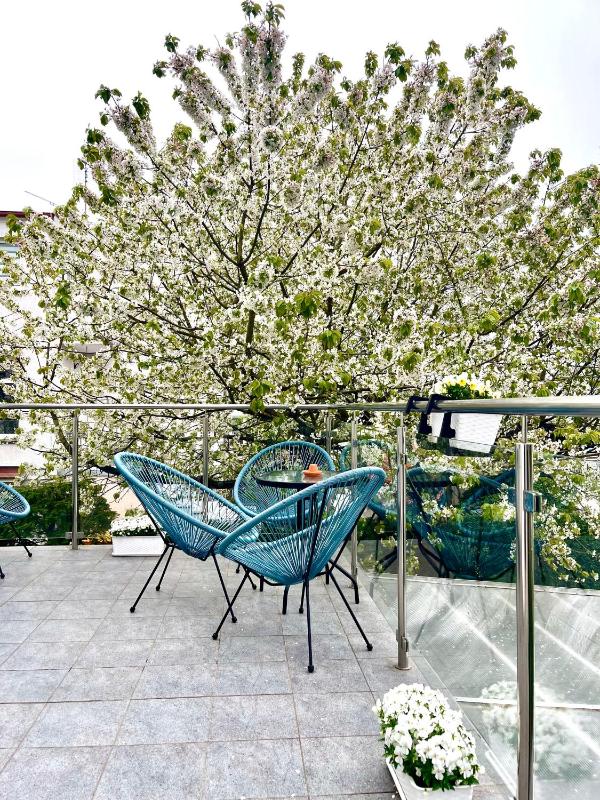 Pokoje i apartamenty Ula z pięknym ogrodem i śniadaniami - image 6