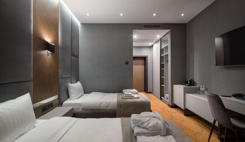 Standard Twin Room image 4