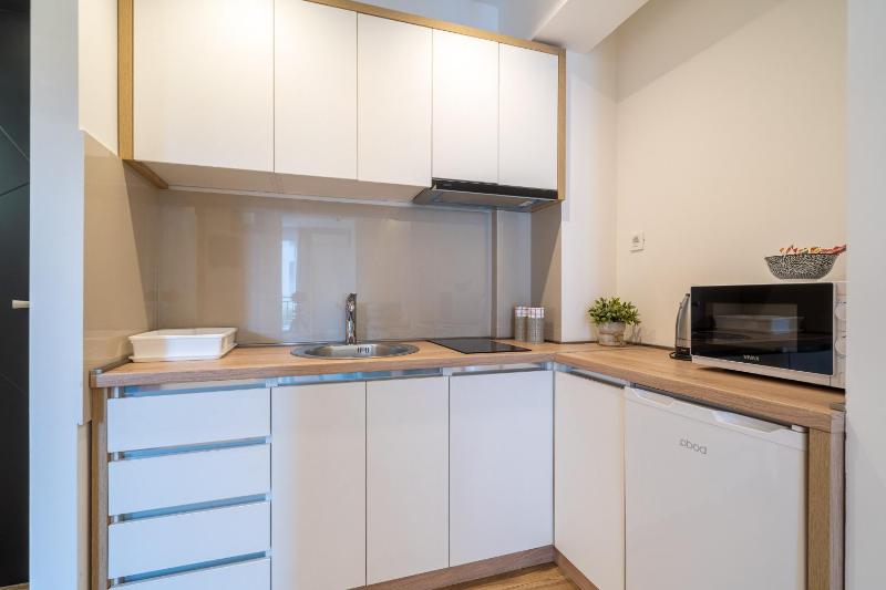 One-Bedroom Apartment image 2