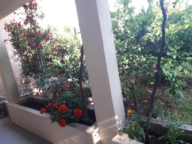 Studio with Patio image 3