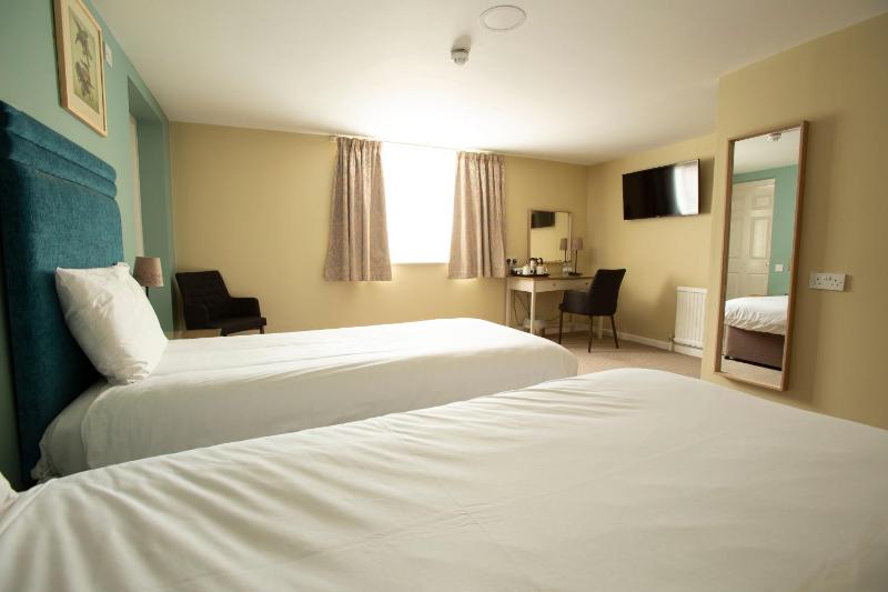 Twin Room with Walk In Shower and View - Disability Access image 1