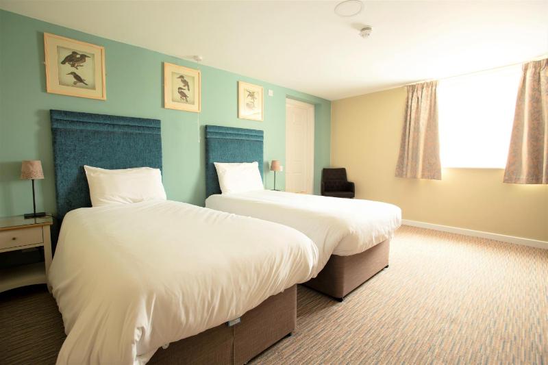 Twin Room with Walk In Shower and View - Disability Access image 2