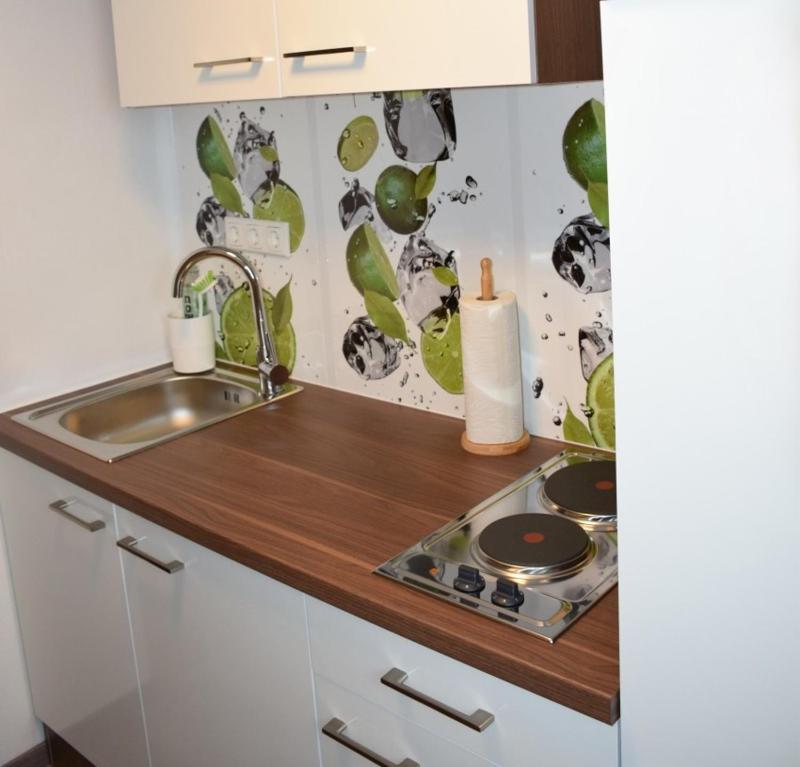 Apartment-Studio mit Kochgelegenheit image 4