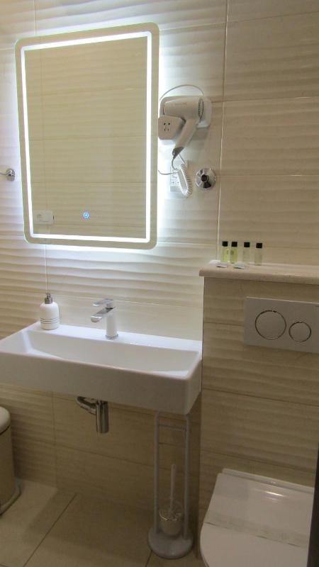 Deluxe Apartment - Annex Building image 3