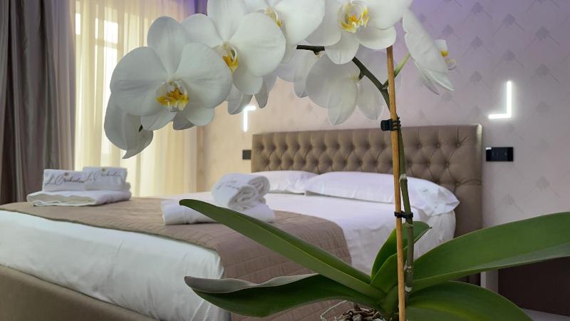 B&B L'Orchidea - image 50