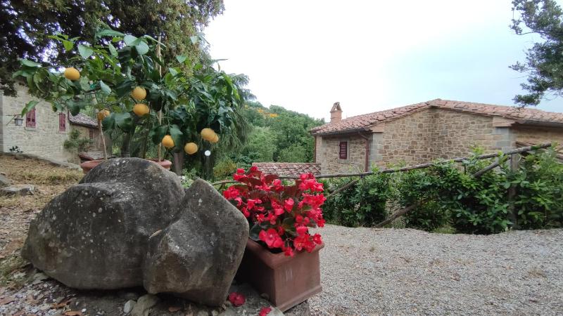 Agriturismo I Cedri - image 37