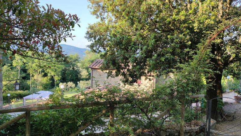 Agriturismo I Cedri - image 36