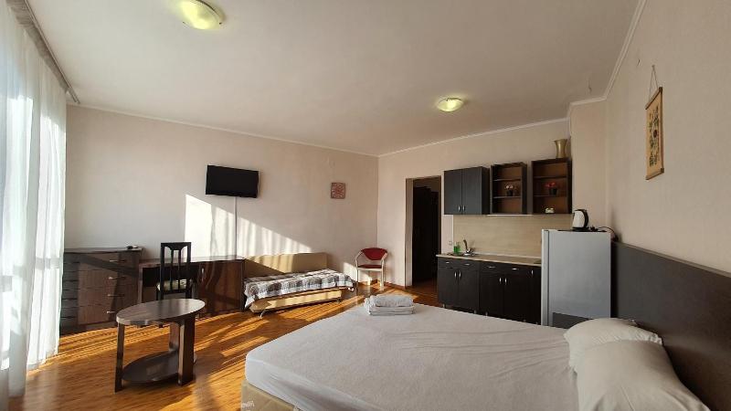 One-Bedroom Apartment image 2