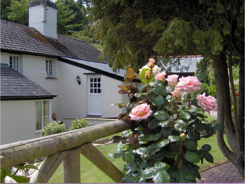 Frogwell Images