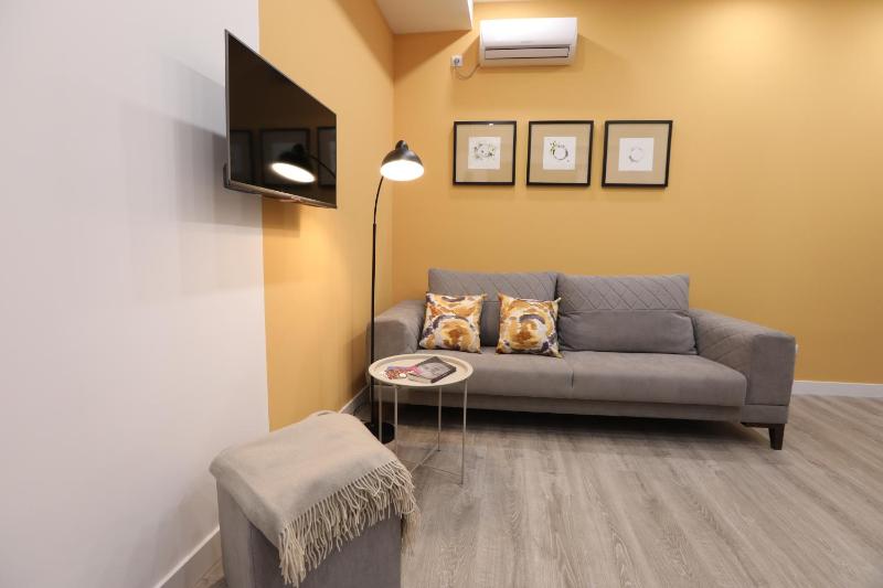One-Bedroom Apartment image 3