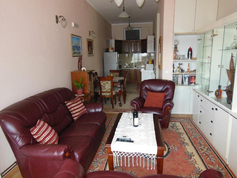 Apartment Petrović - image 5