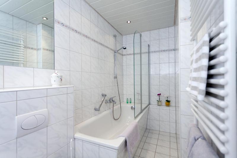 One-Bedroom Apartment with Terrace image 3
