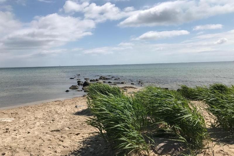 Sealodge Rügen mit gratis Sauna- und Schwimmbadnutzung im AHOI Sellin - image 27