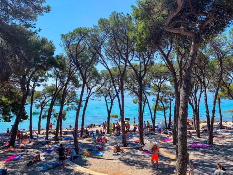 Top View Biograd - image 13