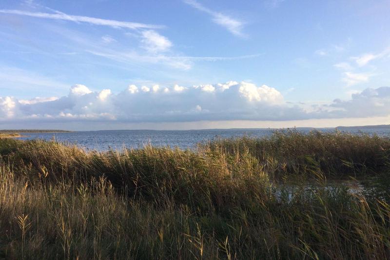 Strandresidenz Brandenburg Ferienwohnung 07 mit Sauna- und Schwimmbadnutzung im AHOI Sellin - image 21