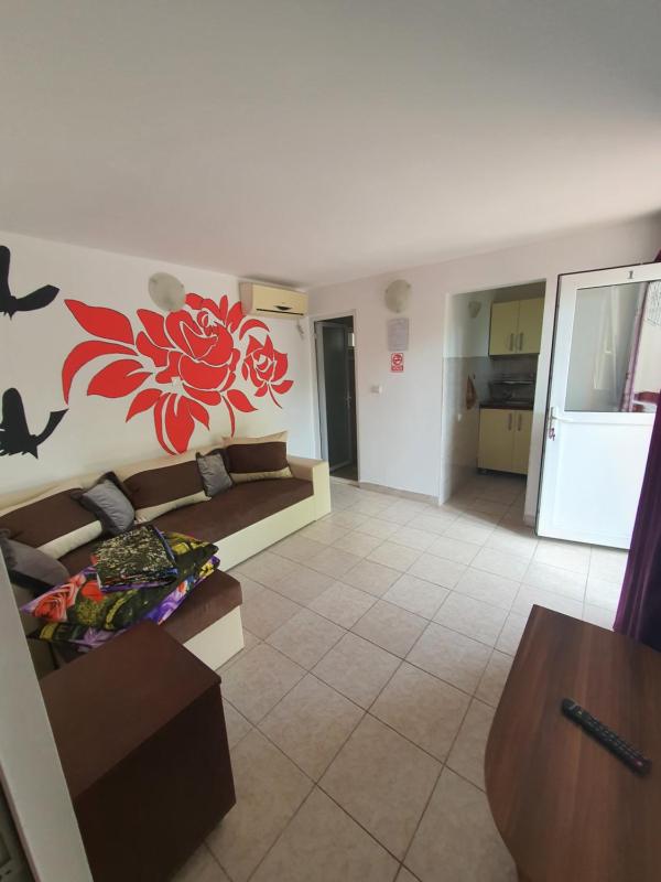 Apartment - Ground Floor image 4