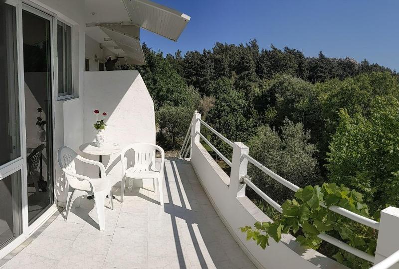 Artemis Studios - Pool and garden - image 14