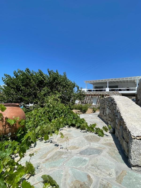 Seethrough Mykonos Suites - image 15