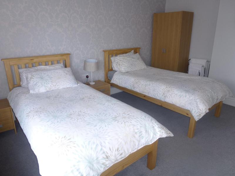 Standard Twin Room image 2