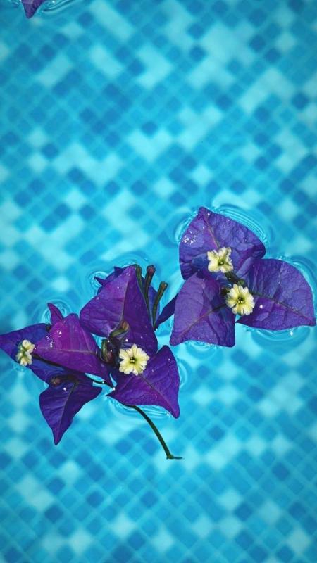 Two-Bedroom Apartment image 2