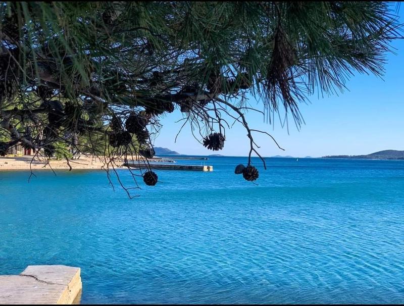 Top View Biograd - image 31