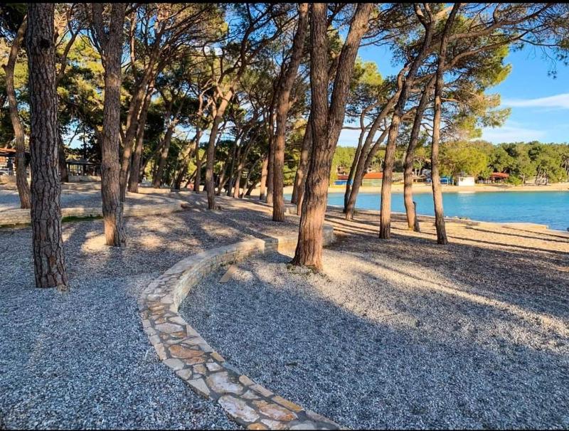 Top View Biograd - image 8