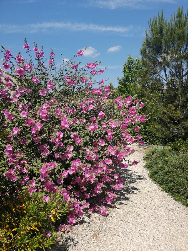 Holiday Home image 4