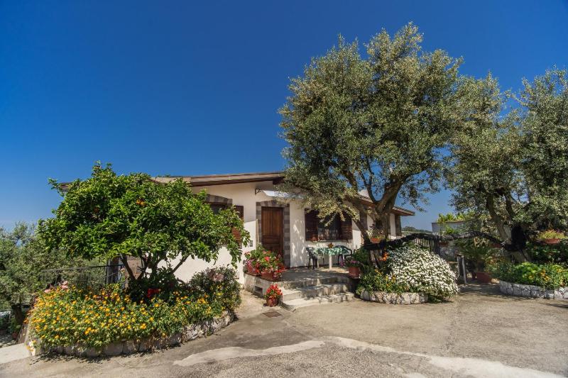Villa Mattia in the Land of Sirens - image 39