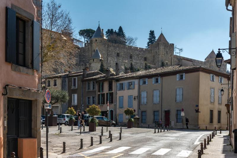 Les Gîtes de Laure - O Lit Divin Instant de volupté BALNEO SAUNA Climatisation 160m de la Cité Médiévale - image 9