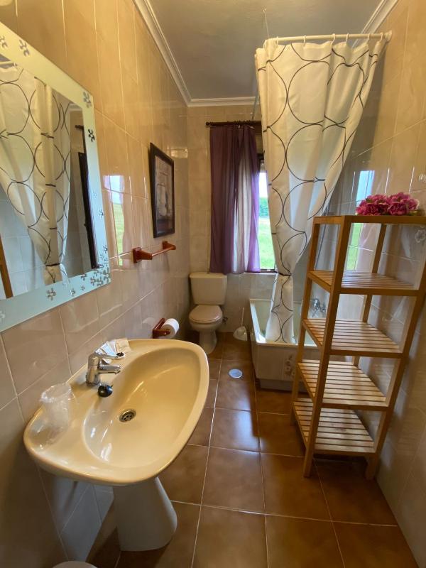 Standard Double Room image 1