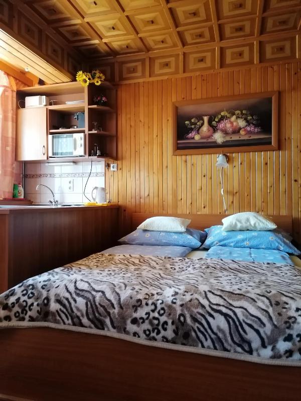 Studio Apartment image 2