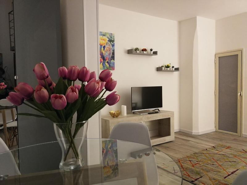 Ficodindia mini Loft - image 3