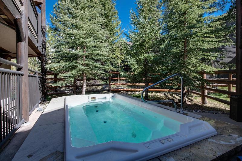 Corral at Breckenridge Raven Condo: Soaking Tub Views - image 15