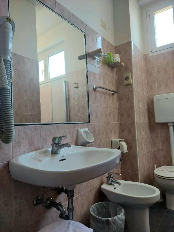 Economy Double or Twin Room image 3
