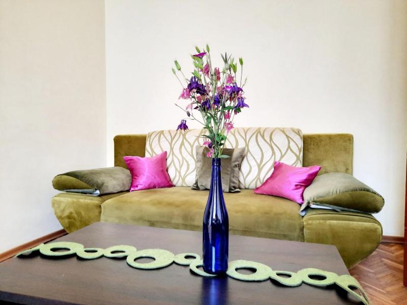 Two-Bedroom Apartment near Rynok Square image 1