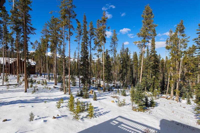 Three-Bedroom House image 2