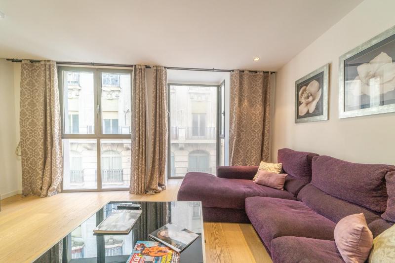 Deluxe Apartment image 3