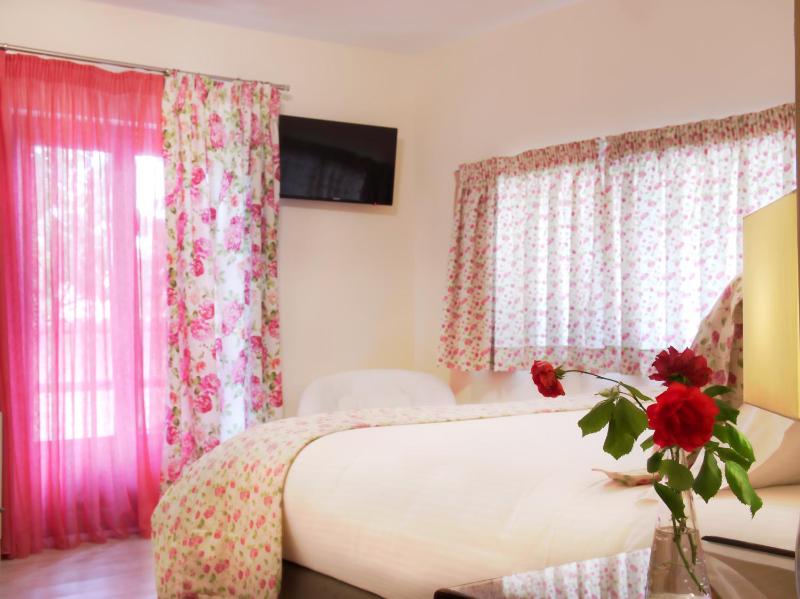 Classical Double Room image 4