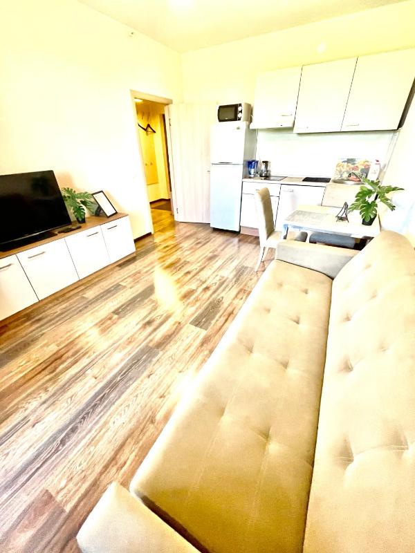 One-Bedroom Apartment image 3