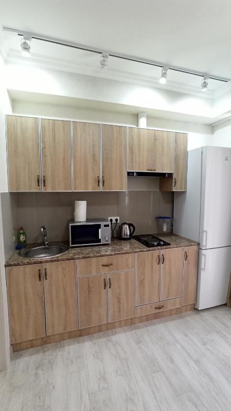 One-Bedroom Apartment image 3