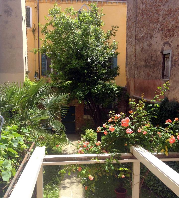 Single Room image 4
