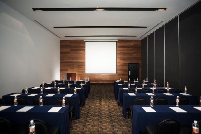 Fiesta Inn Merida - image 10