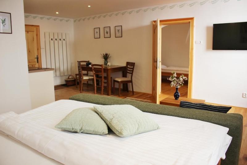 Apartmány Domestika - image 16